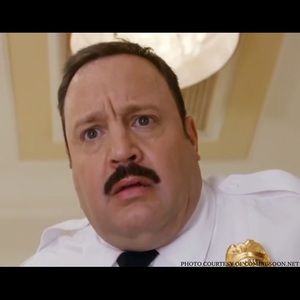 Meet your Posher, Hayden